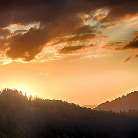 Gostilna Pension Blegos Poljane nad Škofjo Loko Extérieur photo