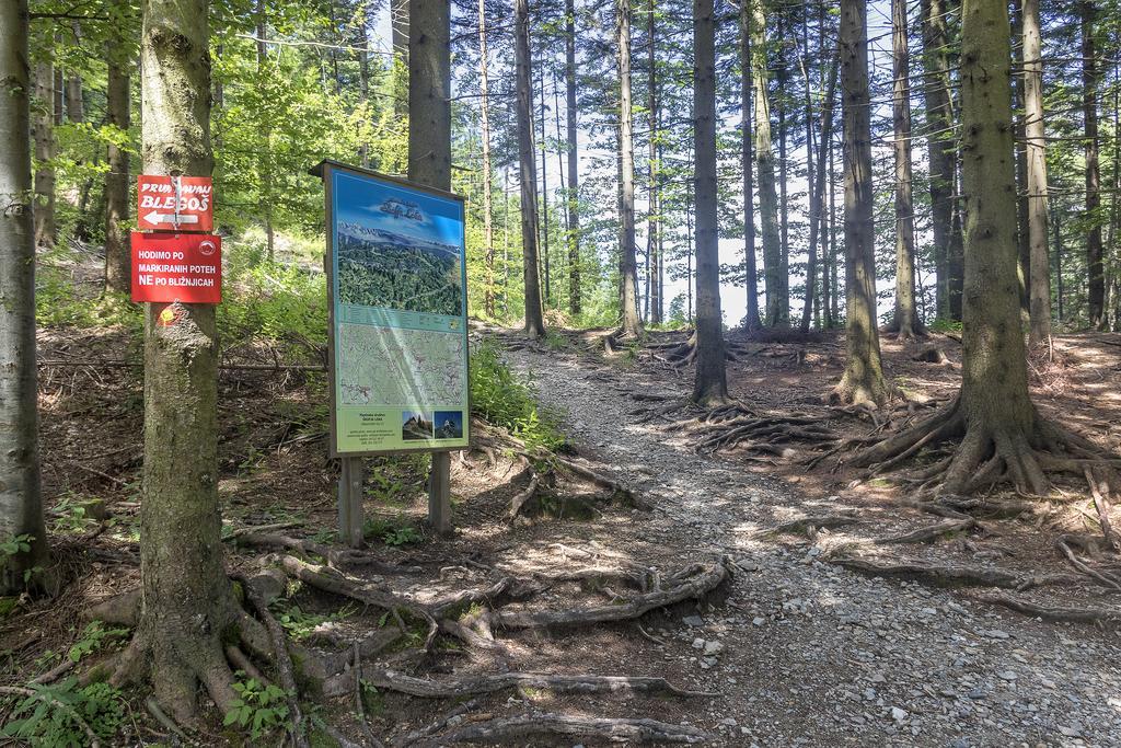 Gostilna Pension Blegos Poljane nad Škofjo Loko Extérieur photo