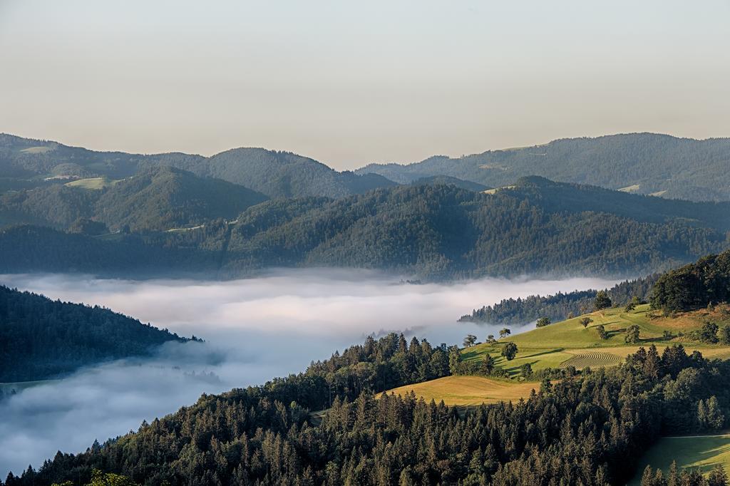 Gostilna Pension Blegos Poljane nad Škofjo Loko Extérieur photo