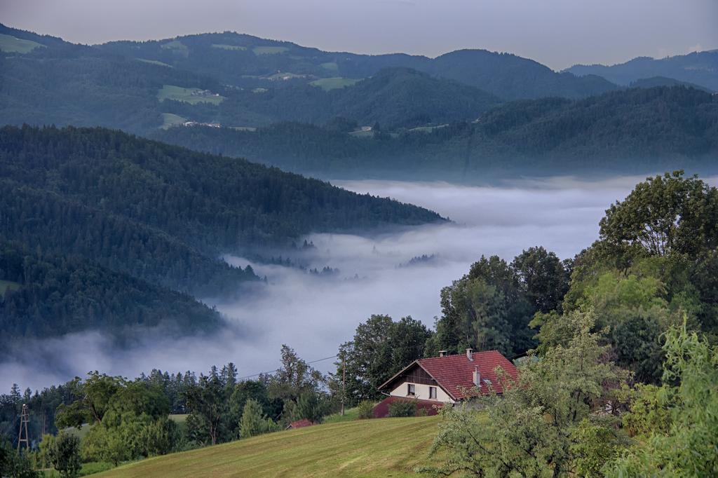 Gostilna Pension Blegos Poljane nad Škofjo Loko Extérieur photo