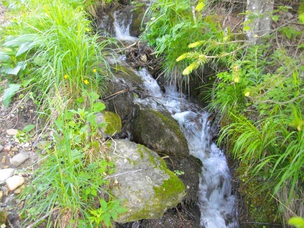 Gostilna Pension Blegos Poljane nad Škofjo Loko Extérieur photo