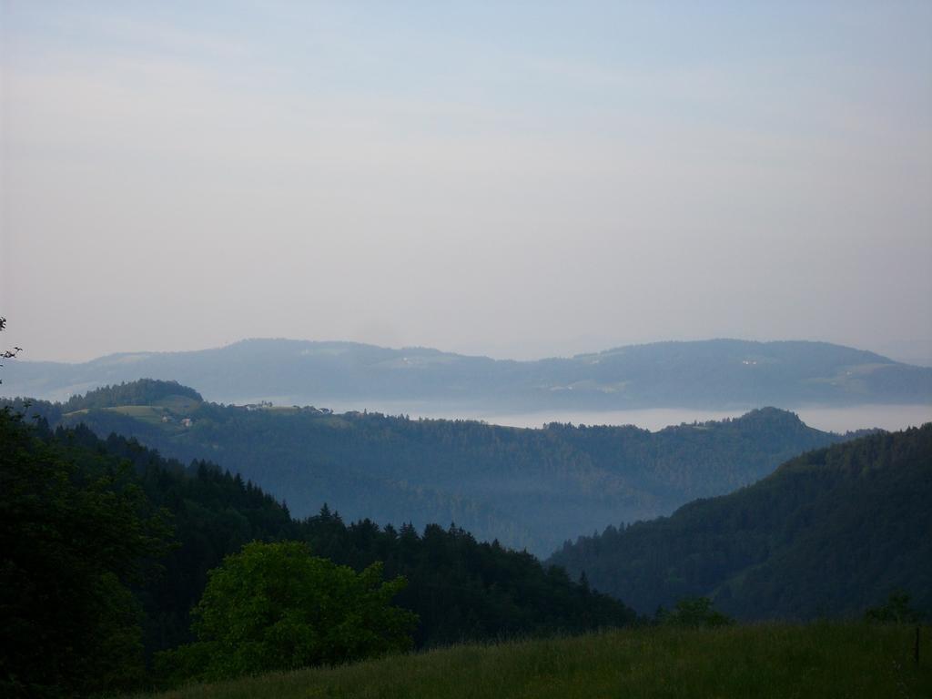 Gostilna Pension Blegos Poljane nad Škofjo Loko Extérieur photo