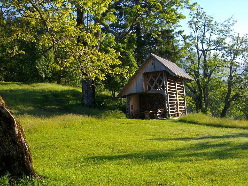 Gostilna Pension Blegos Poljane nad Škofjo Loko Extérieur photo