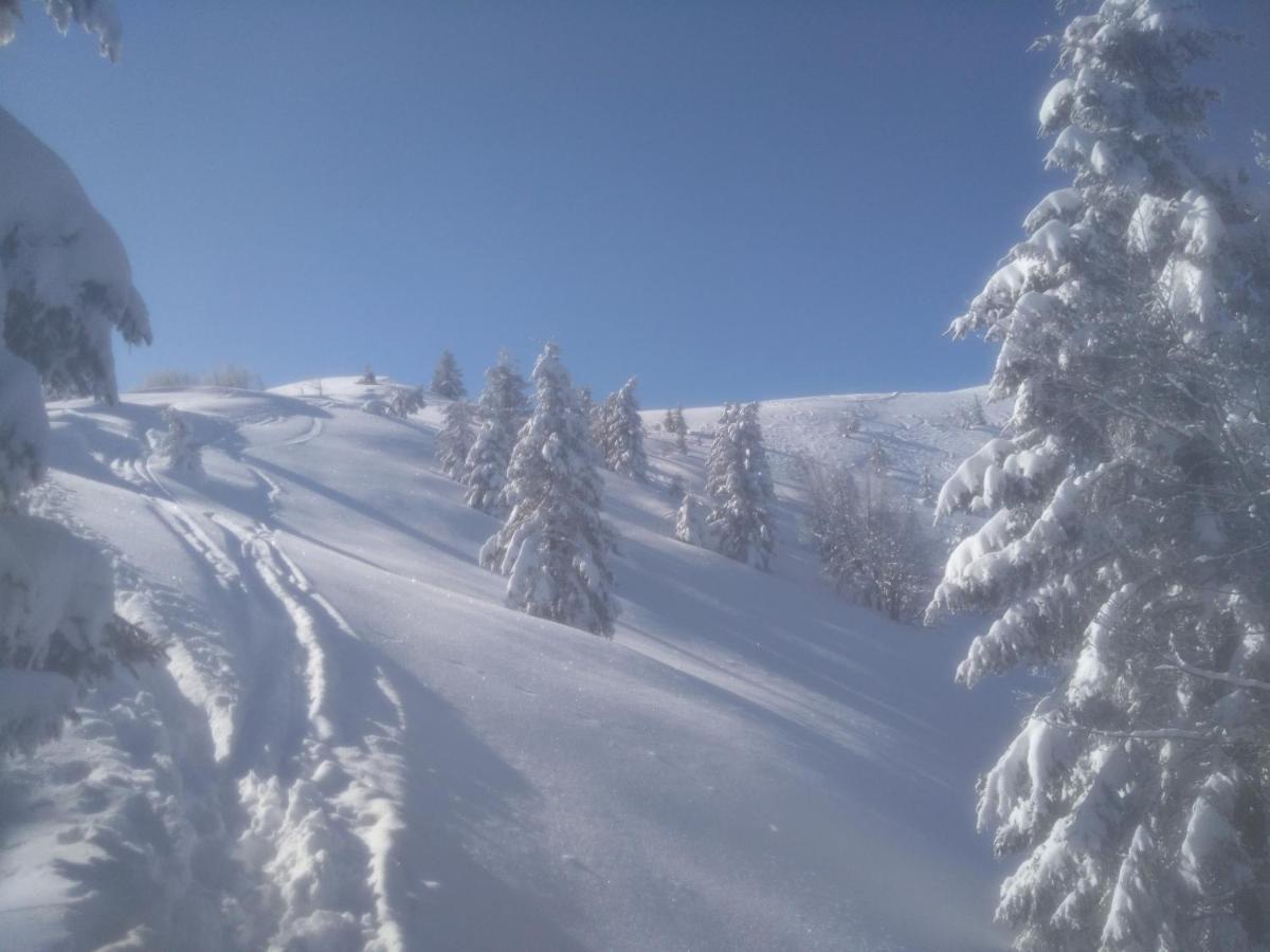 Gostilna Pension Blegos Poljane nad Škofjo Loko Extérieur photo